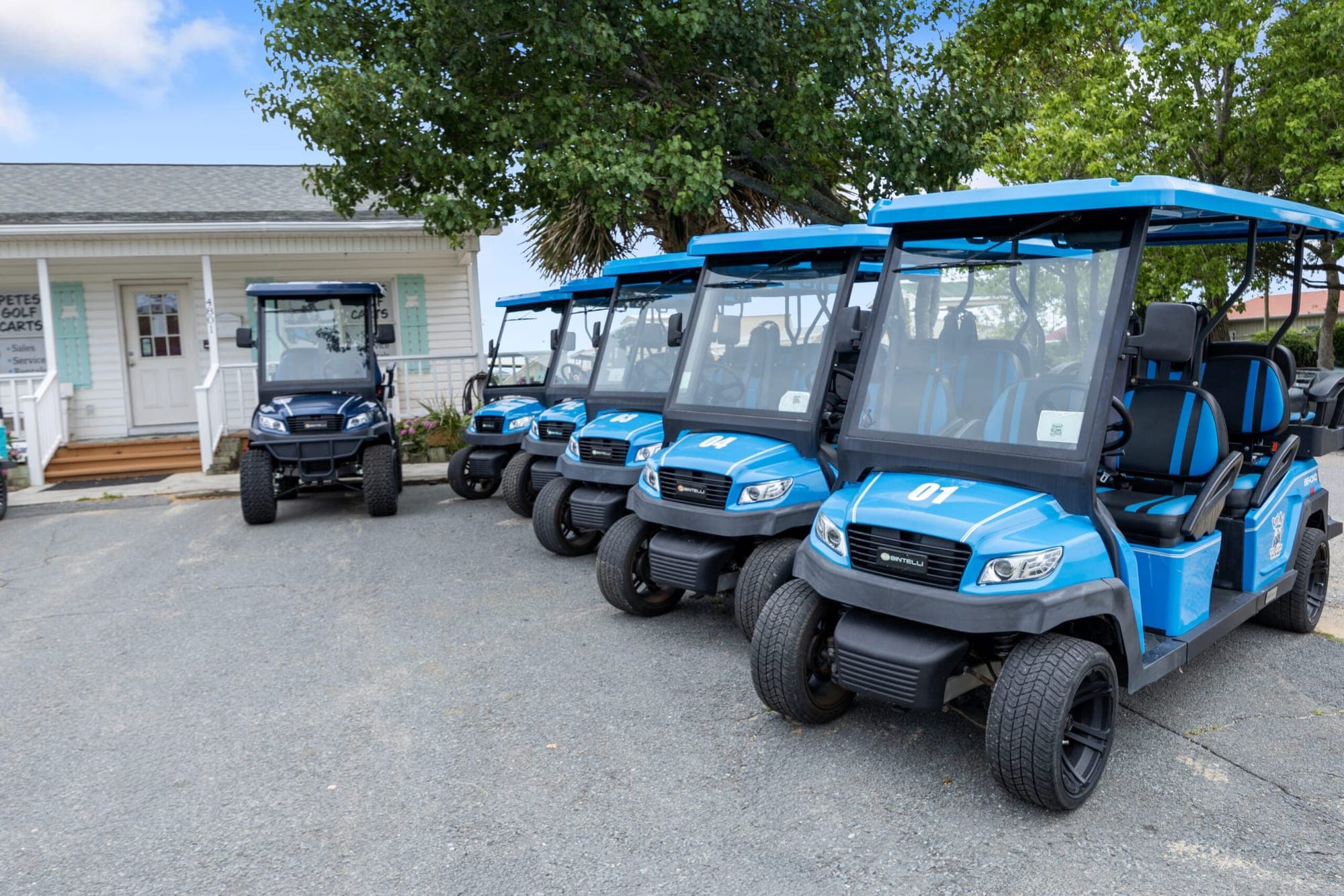 Row of blue golf carts